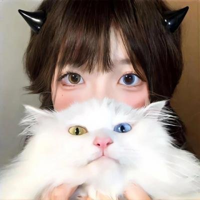 纽约司机